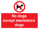 no-dogs-except-assistance-dogs~